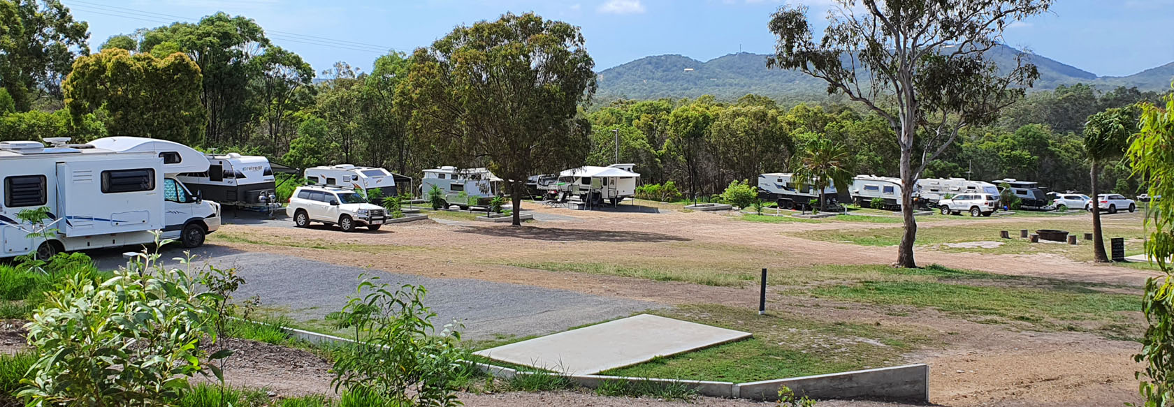 Lots of powered sites with caravan parked surrounded by trees.